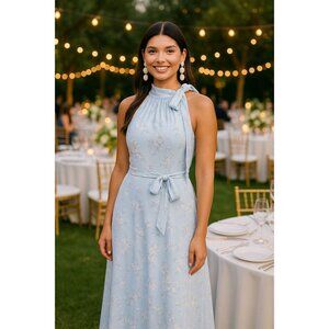 NWT Sachin & Babi Kayla Halter Wildflowers Blue Floral Sleeveless Maxi Dress